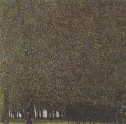 Gustav Klimt The Park (mk20) USA oil painting artist